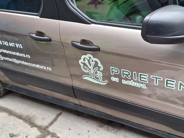 Detaliu inscripționare ușă autoutilitară cu folie decupată